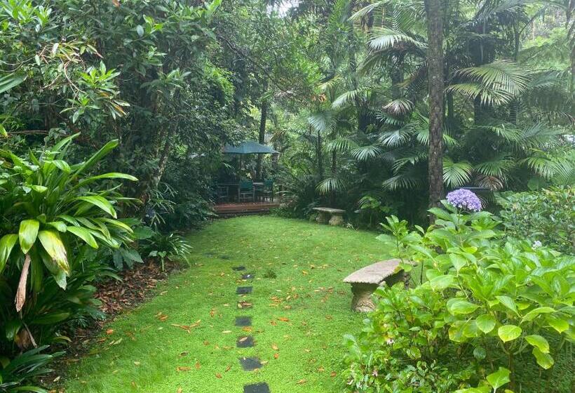 ペンション Rosella S On Springbrook