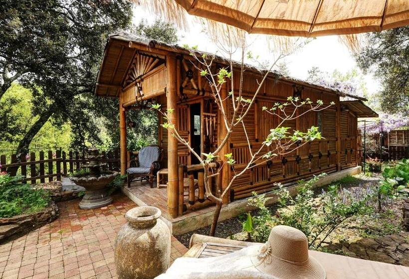 膳宿费 Coco Banane