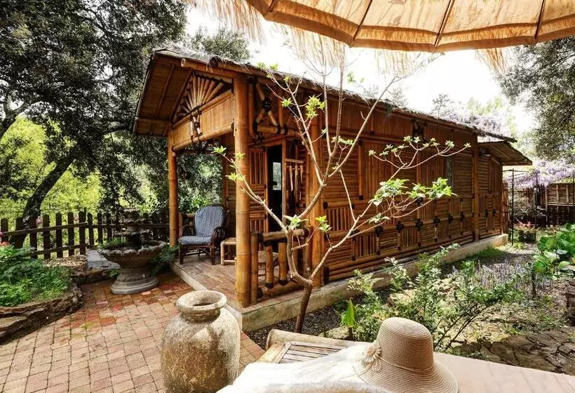 Pension Coco Banane