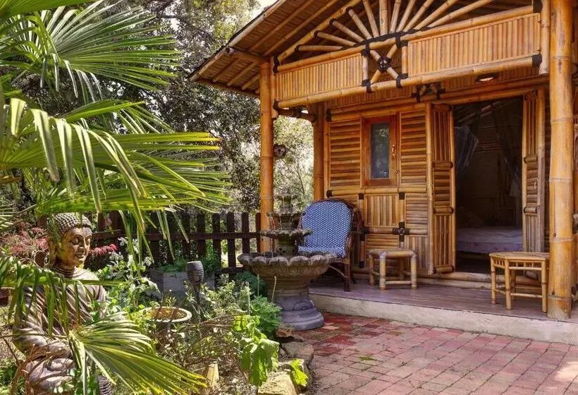 Pension Coco Banane