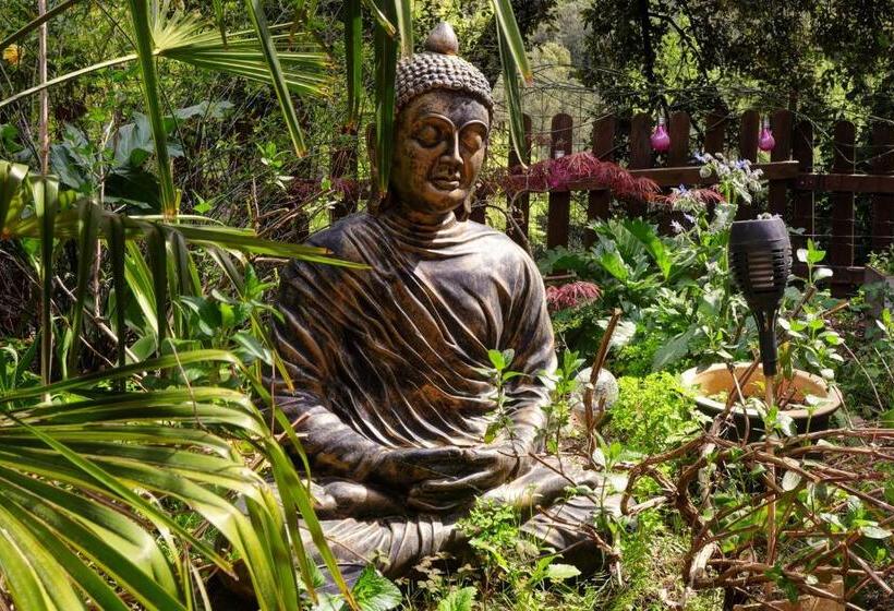 膳宿费 Coco Banane