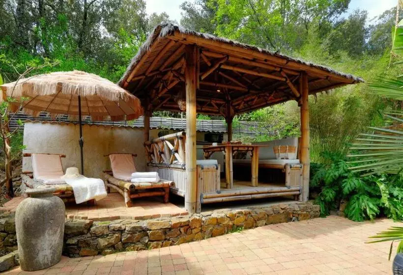 Pension Coco Banane