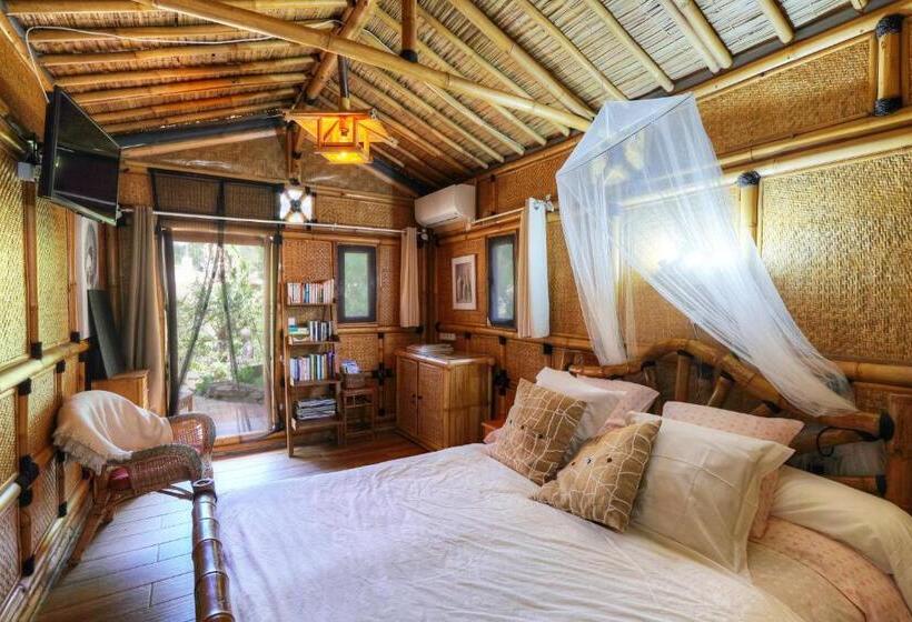 膳宿费 Coco Banane