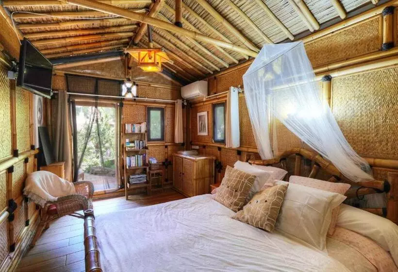 Pension Coco Banane