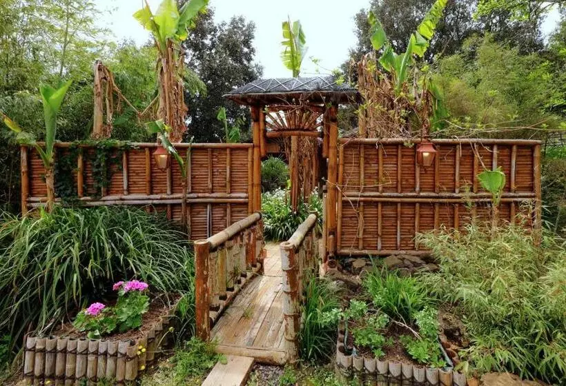 Pension Coco Banane