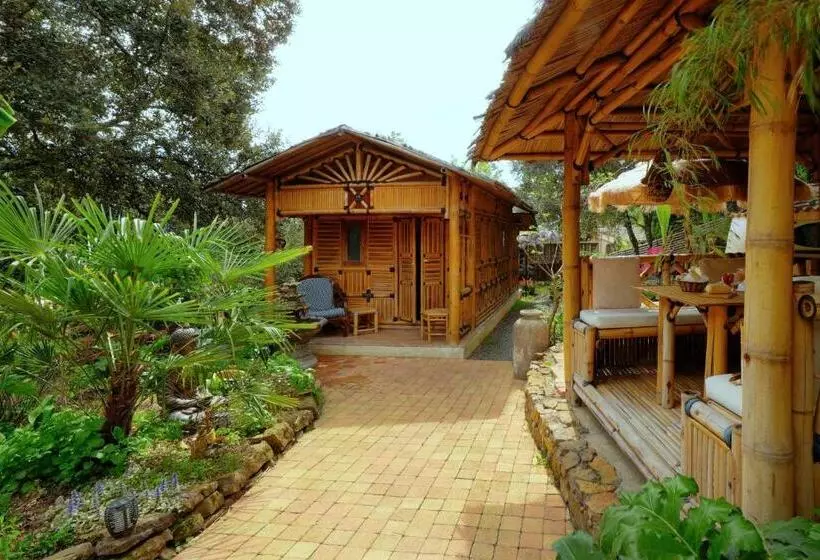 Pension Coco Banane