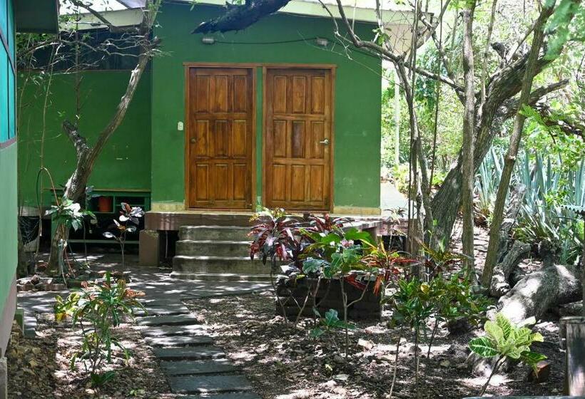 هاستل Dale S Cool Places