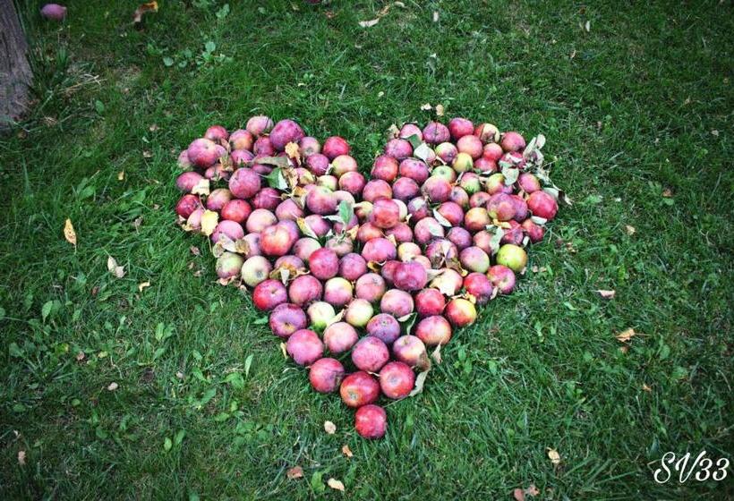 پانسیون Svezhest/свежесть