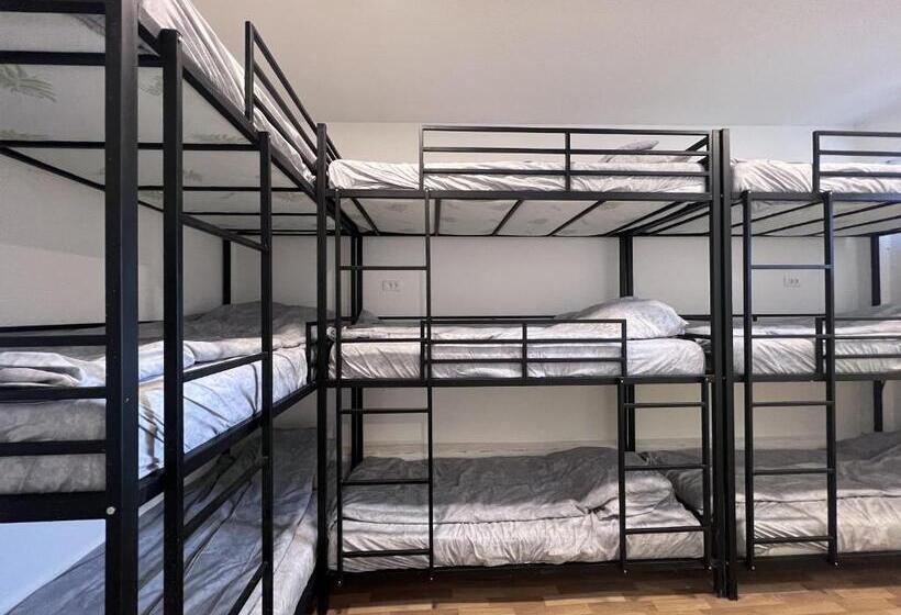 هاستل Bear Hug Lodge