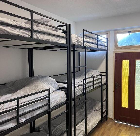 هاستل Bear Hug Lodge