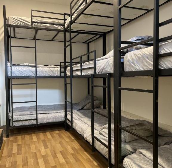 هاستل Bear Hug Lodge