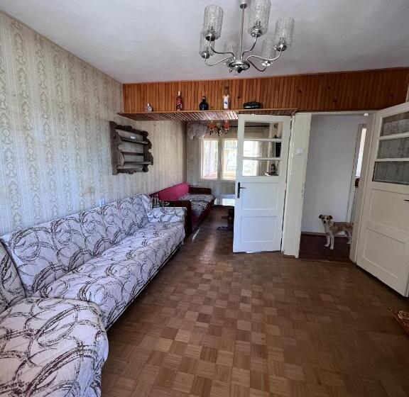 هاستل Bear Hug Lodge