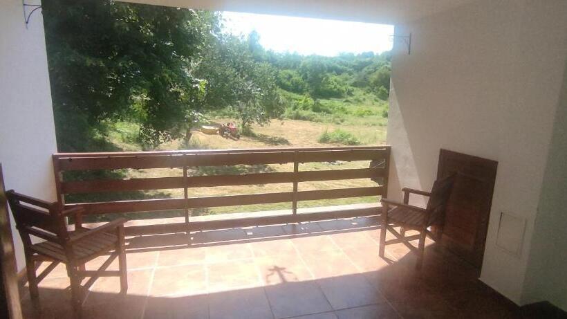 پانسیون Hanu Fain