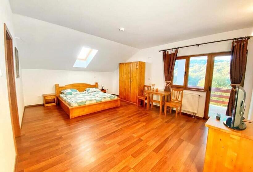 پانسیون Hanu Fain