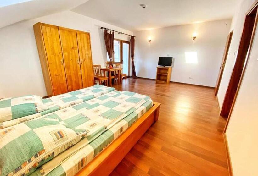 پانسیون Hanu Fain