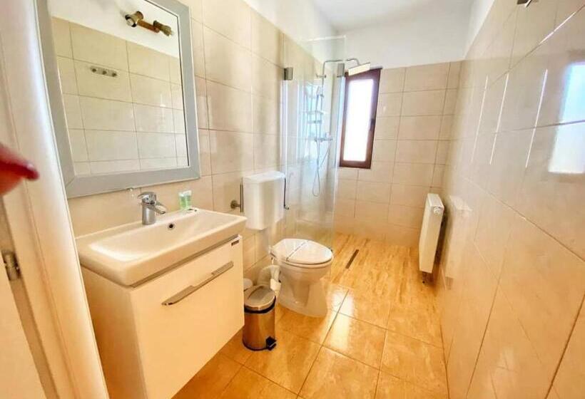 پانسیون Hanu Fain