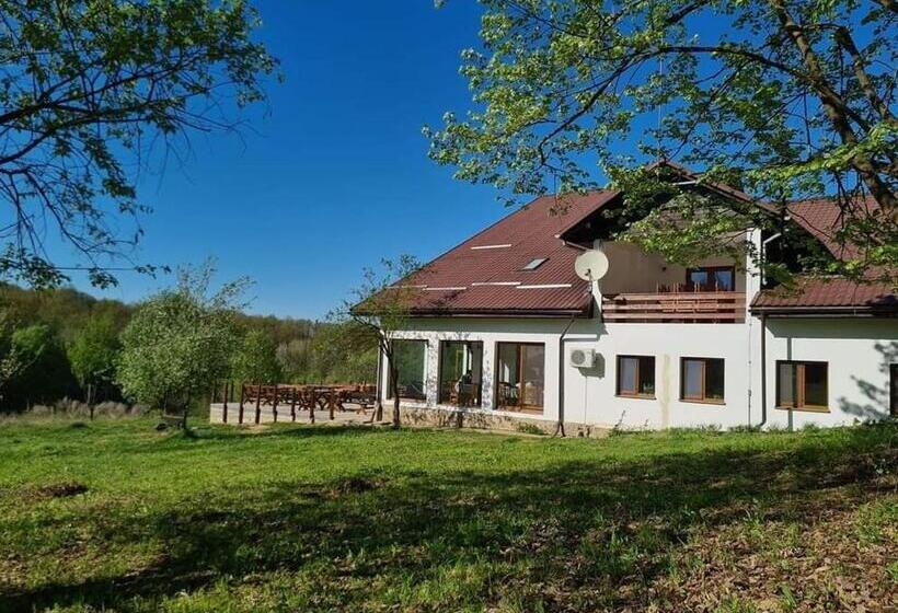 پانسیون Hanu Fain