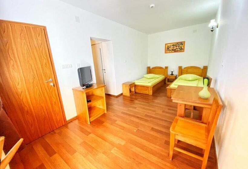 پانسیون Hanu Fain