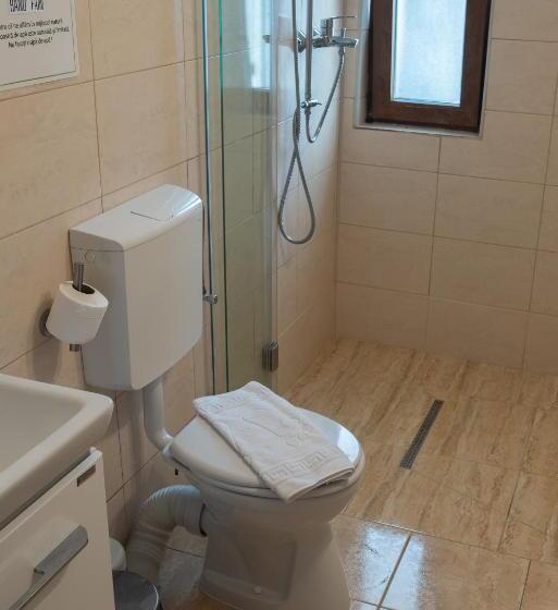 پانسیون Hanu Fain