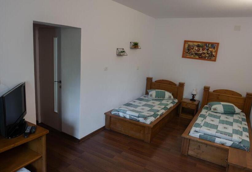 پانسیون Hanu Fain