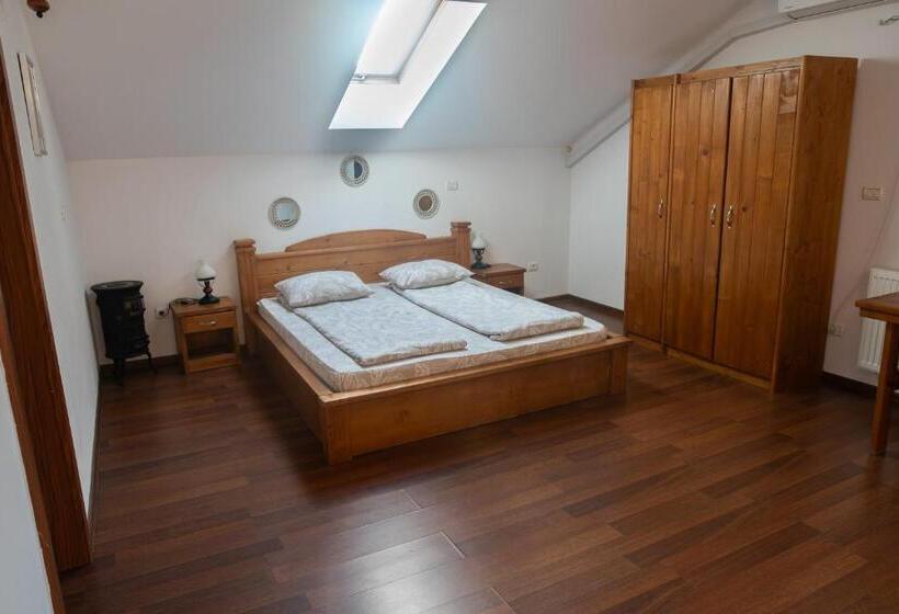 پانسیون Hanu Fain