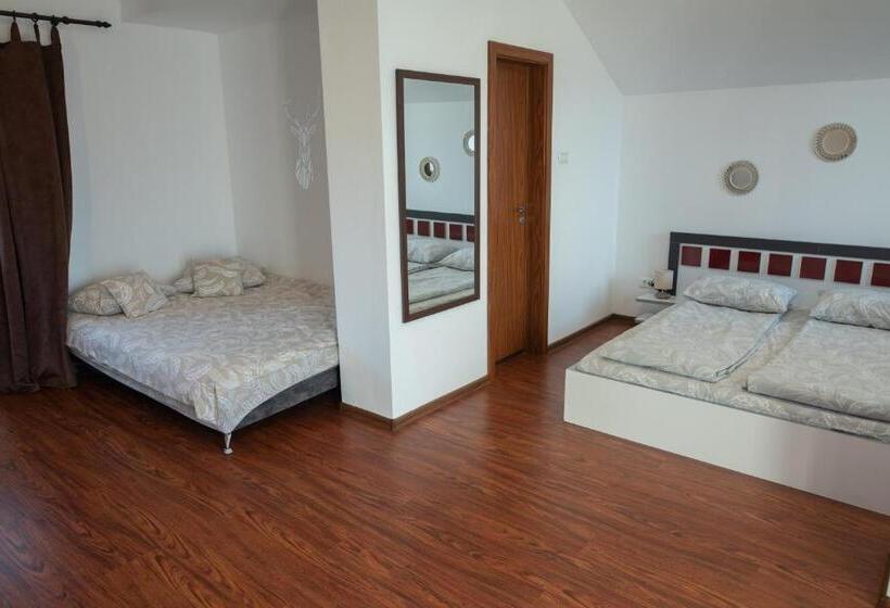 پانسیون Hanu Fain