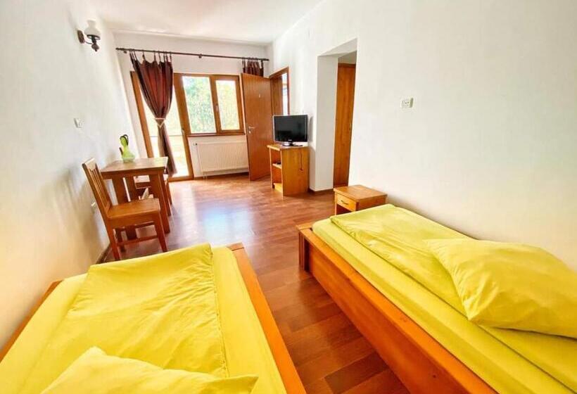 پانسیون Hanu Fain