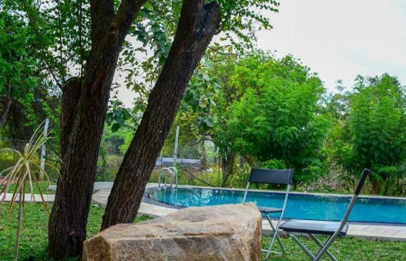 Hotel The Royal Garden