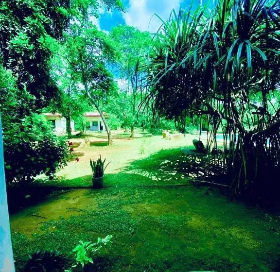 هتل The Royal Garden