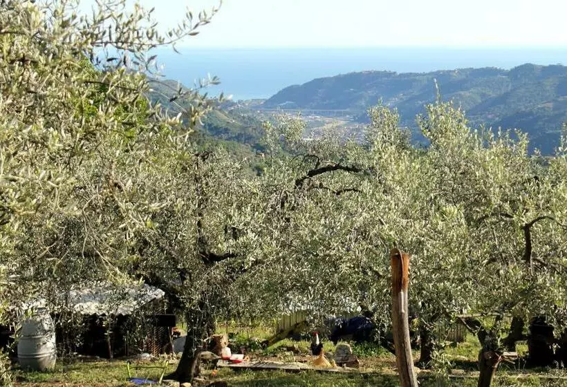 ホテル L Oasi Del Rossese
