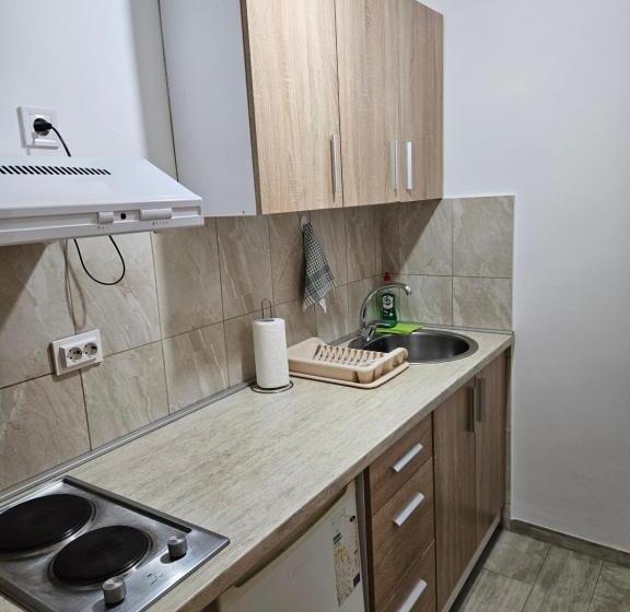 پانسیون Apartmani Račeta