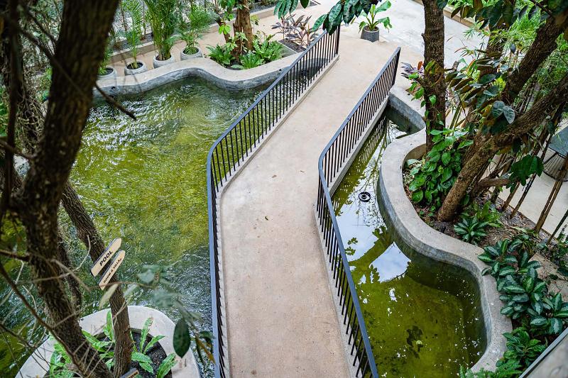 Rainforest Hotel By Nsun