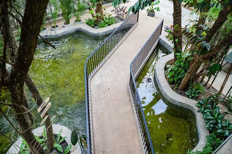 Rainforest Hotel By Nsun