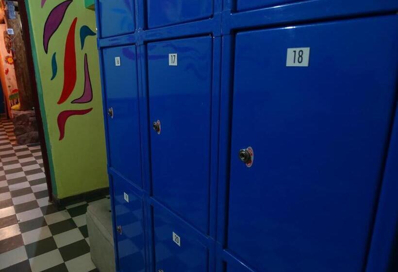 Bed and Breakfast Apapacho Hostel