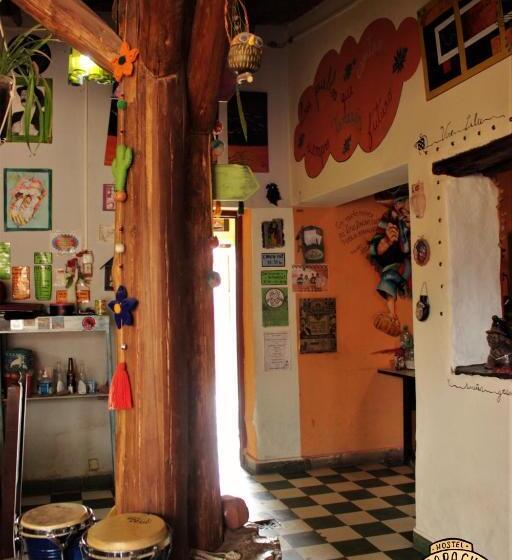 Bed and Breakfast Apapacho Hostel