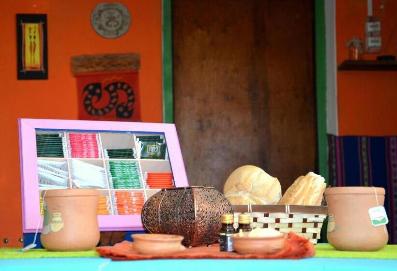 Bed and Breakfast Apapacho Hostel