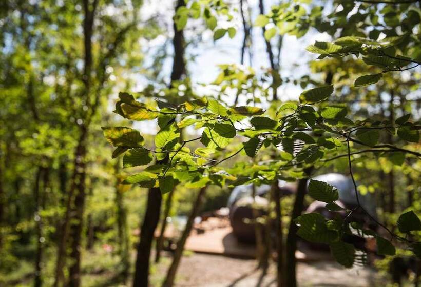 مبيت وإفطار Chrysalide Saint Martin