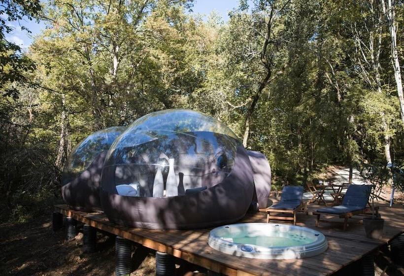 مبيت وإفطار Chrysalide Saint Martin