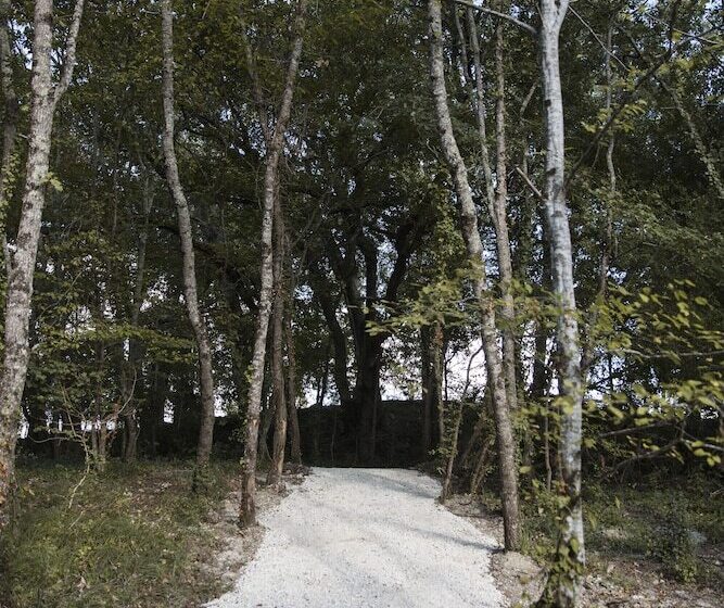 مبيت وإفطار Chrysalide Saint Martin