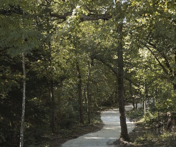 مبيت وإفطار Chrysalide Saint Martin