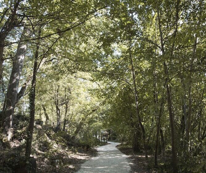 مبيت وإفطار Chrysalide Saint Martin