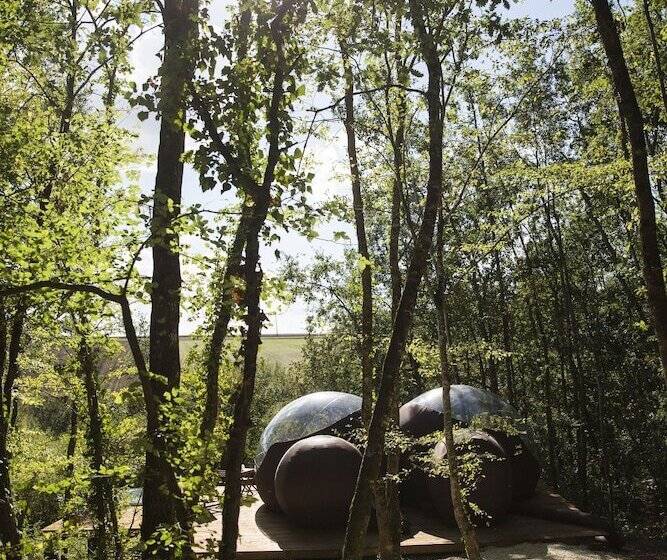 مبيت وإفطار Chrysalide Saint Martin