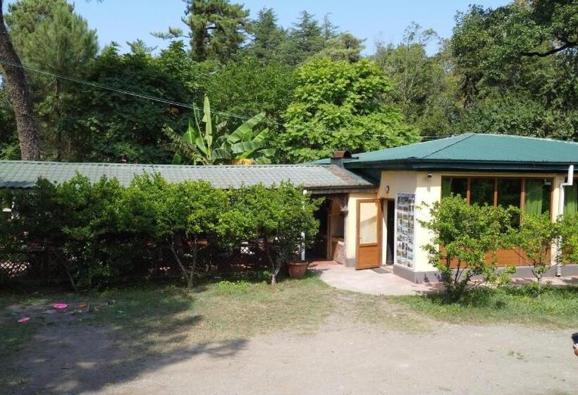 Marshal Resort Kobuleti