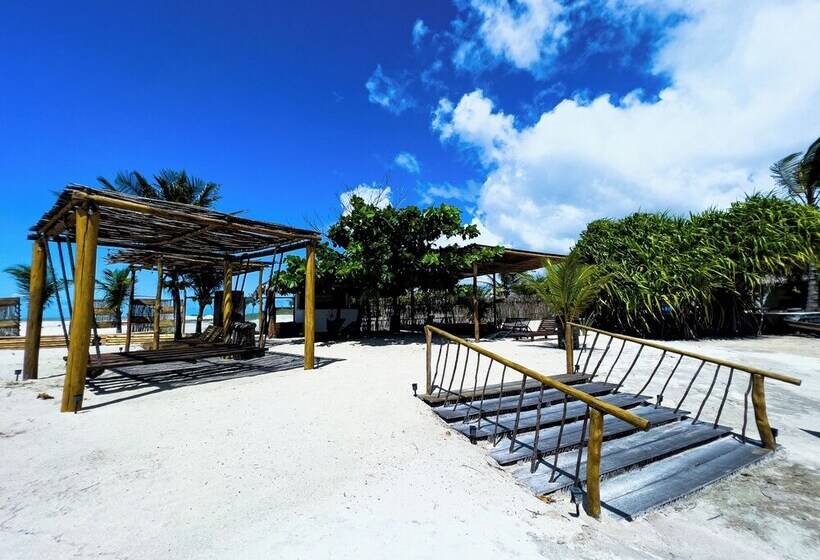 هتل Pousada Luna D3 Experience