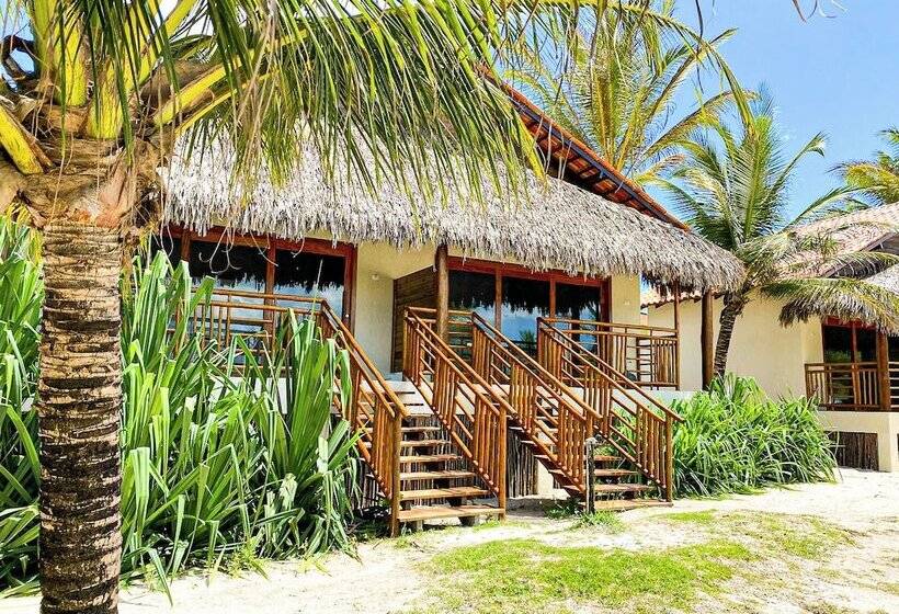 هتل Pousada Luna D3 Experience