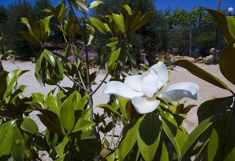 Skamagkas M. Apartments