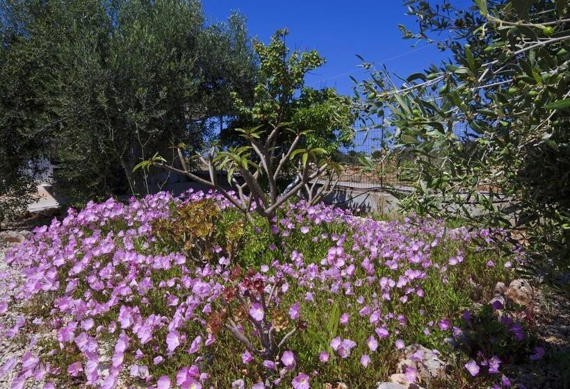 Skamagkas M. Apartments