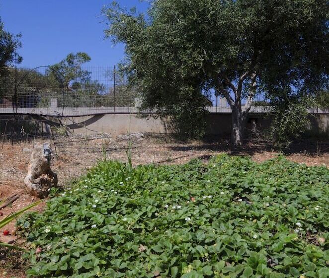 Skamagkas M. Apartments