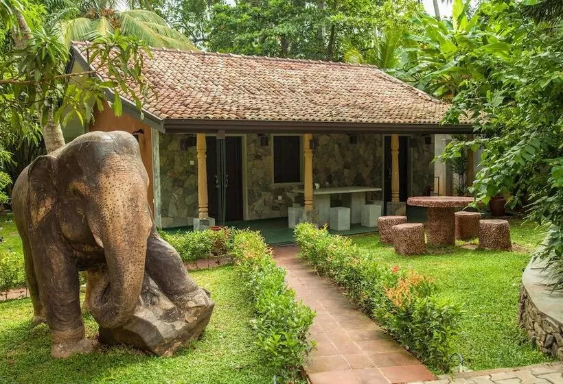ホテル Villa Pinnawala & Restaurant