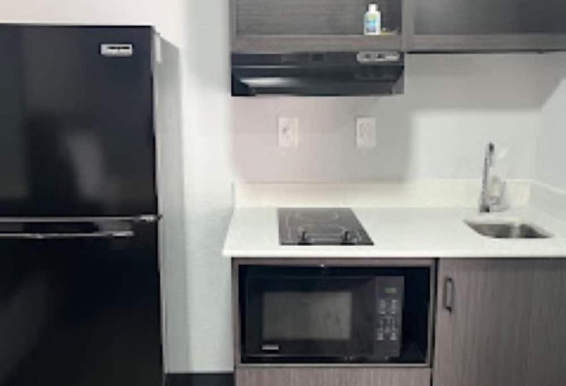 Hotel Efficiency Lodge   Cartersville